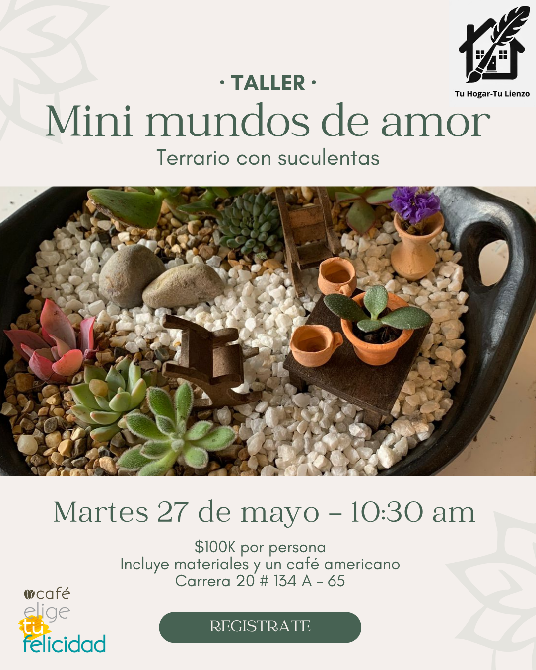 terrarios talleres plantas